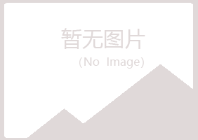 阳江山柏会计有限公司